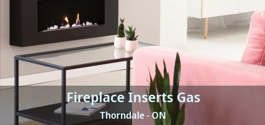 Fireplace Inserts Gas Thorndale - ON Fireplace Inserts Gas Thorndale - ON