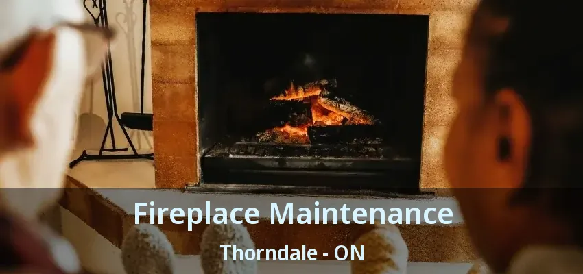 Fireplace Maintenance Thorndale - ON