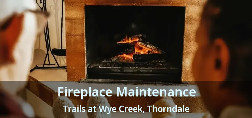 Fireplace Maintenance Trails at Wye Creek, Thorndale - ON