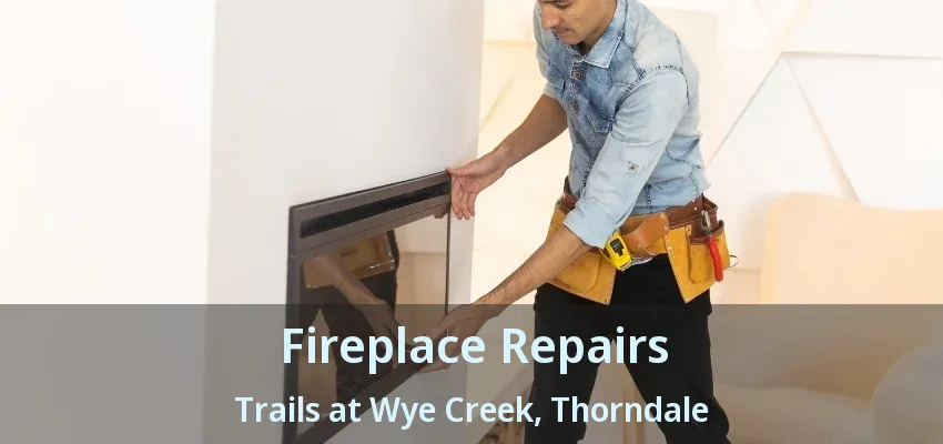 Fireplace Repairs Trails at Wye Creek, Thorndale - ON