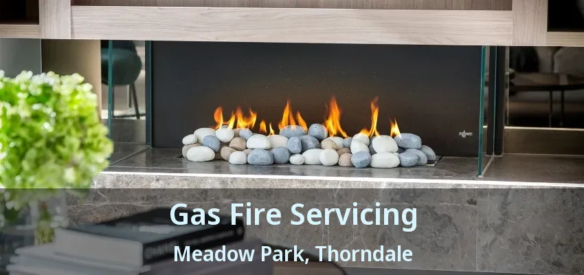 Gas Fire Servicing Meadow Park, Thorndale - ON Gas Fire Servicing Meadow Park, Thorndale - ON