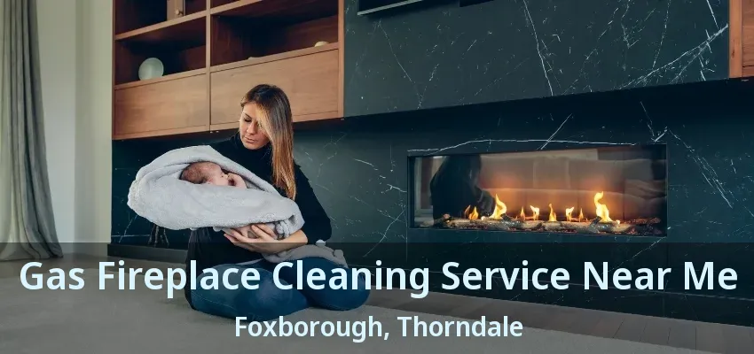 Gas Fireplace Cleaning Service Near Me Foxborough, Thorndale - ON