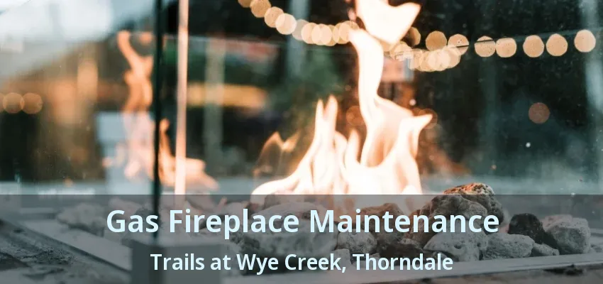 Gas Fireplace Maintenance Trails at Wye Creek, Thorndale - ON