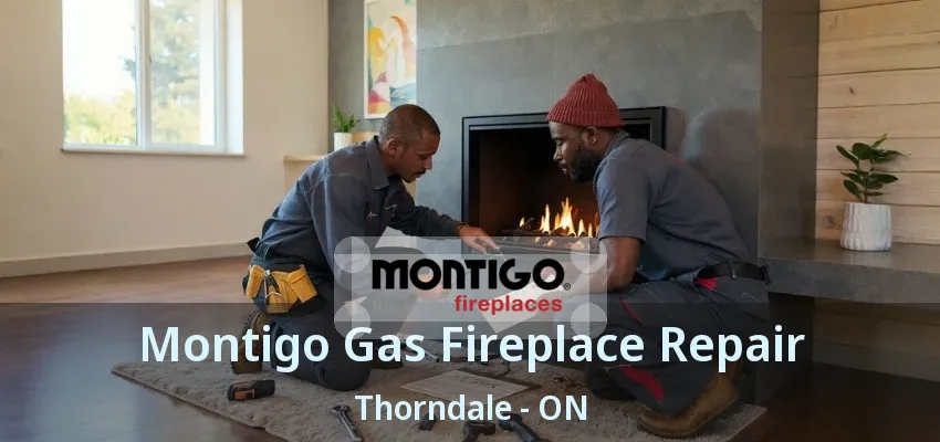 Montigo Gas Fireplace Repair Thorndale - ON Montigo Gas Fireplace Repair Thorndale - ON