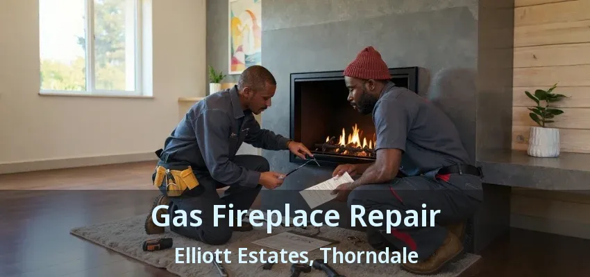 Gas Fireplace Repair Elliott Estates, Thorndale - ON