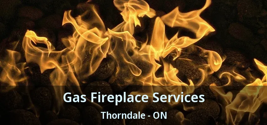 Gas Fireplace Services Thorndale - ON