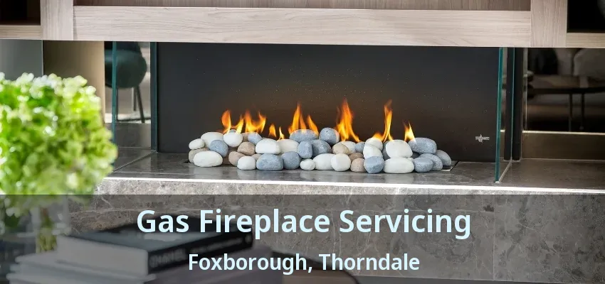 Gas Fireplace Servicing Foxborough, Thorndale - ON