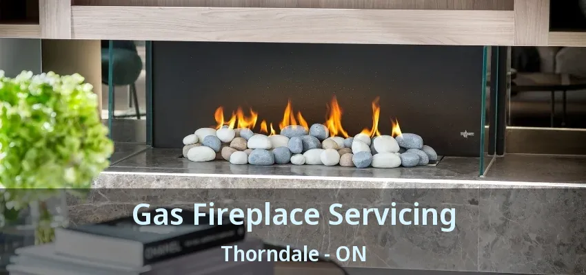 Gas Fireplace Servicing Thorndale - ON Gas Fireplace Servicing Thorndale - ON