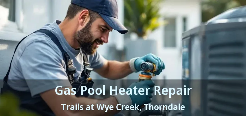 Gas Pool Heater Repair Trails at Wye Creek, Thorndale - ON
