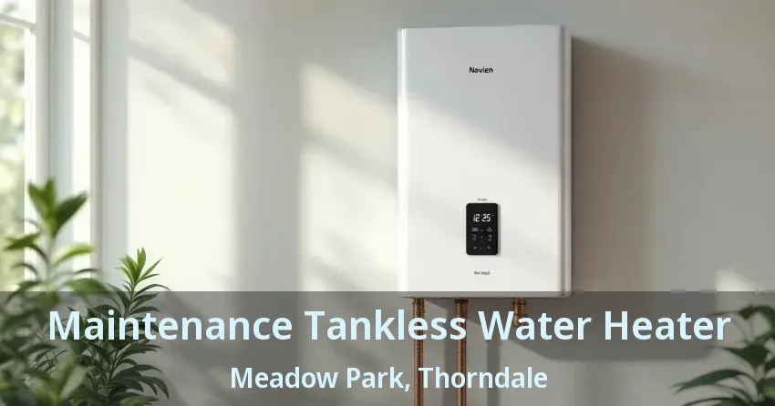 Maintenance Tankless Water Heater Meadow Park, Thorndale - ON Maintenance Tankless Water Heater Meadow Park, Thorndale - ON