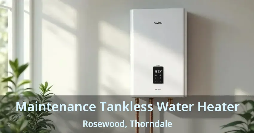 Maintenance Tankless Water Heater Rosewood, Thorndale - ON Maintenance Tankless Water Heater Rosewood, Thorndale - ON