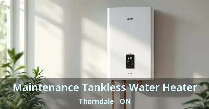 Maintenance Tankless Water Heater Thorndale - ON Maintenance Tankless Water Heater Thorndale - ON