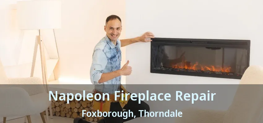 Napoleon Fireplace Repair Foxborough, Thorndale - ON