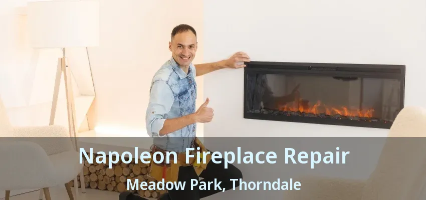 Napoleon Fireplace Repair Meadow Park, Thorndale - ON Napoleon Fireplace Repair Meadow Park, Thorndale - ON