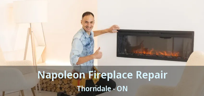 Napoleon Fireplace Repair Thorndale - ON