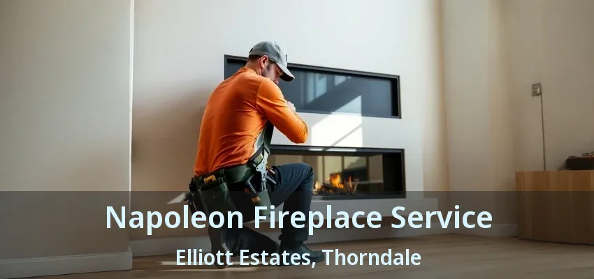 Napoleon Fireplace Service Elliott Estates, Thorndale - ON