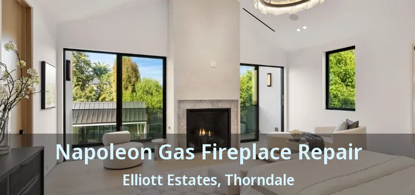 Napoleon Gas Fireplace Repair Elliott Estates, Thorndale - ON Napoleon Gas Fireplace Repair Elliott Estates, Thorndale - ON