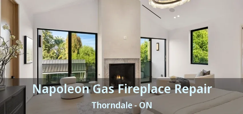 Napoleon Gas Fireplace Repair Thorndale - ON