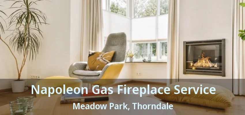 Napoleon Gas Fireplace Service Meadow Park, Thorndale - ON Napoleon Gas Fireplace Service Meadow Park, Thorndale - ON