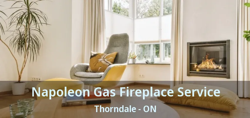 Napoleon Gas Fireplace Service Thorndale - ON