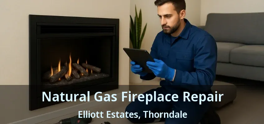 Natural Gas Fireplace Repair Elliott Estates, Thorndale - ON Natural Gas Fireplace Repair Elliott Estates, Thorndale - ON