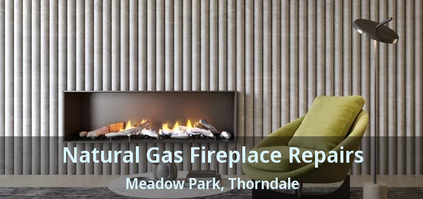 Natural Gas Fireplace Repairs Meadow Park, Thorndale - ON Natural Gas Fireplace Repairs Meadow Park, Thorndale - ON