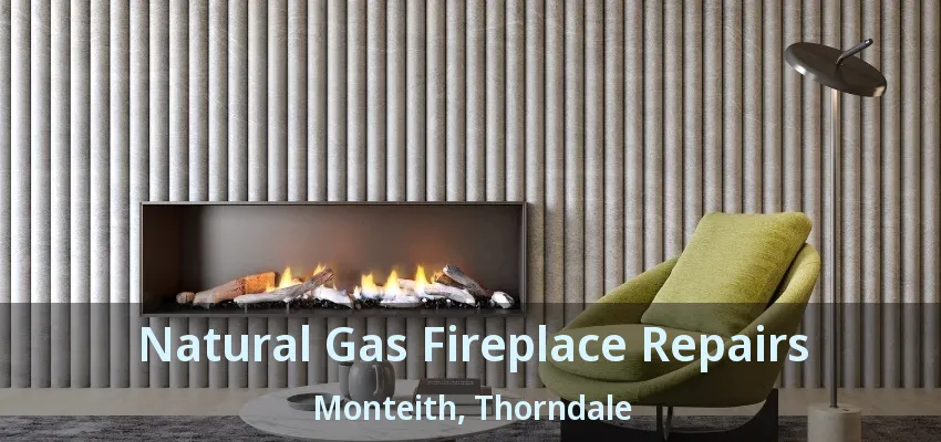 Natural Gas Fireplace Repairs Monteith, Thorndale - ON Natural Gas Fireplace Repairs Monteith, Thorndale - ON