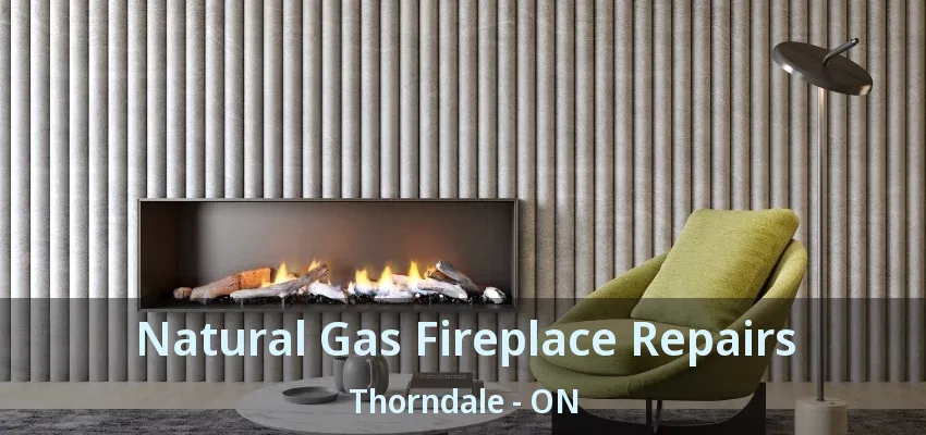 Natural Gas Fireplace Repairs Thorndale - ON Natural Gas Fireplace Repairs Thorndale - ON