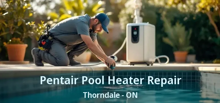 Pentair Pool Heater Repair Thorndale - ON
