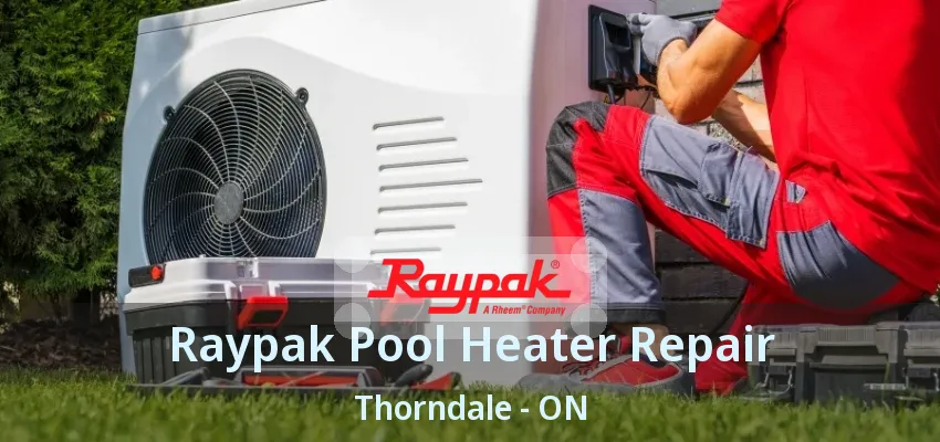 Raypak Pool Heater Repair Thorndale - ON