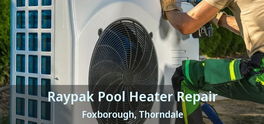 Raypak Pool Heater Repair Foxborough, Thorndale - ON