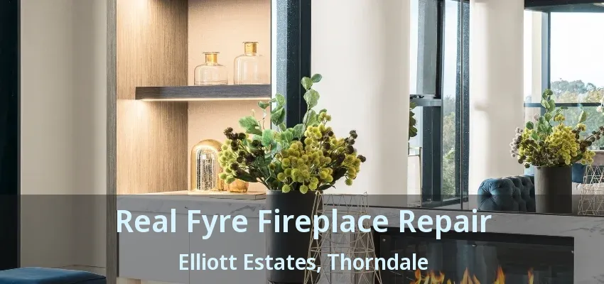 Real Fyre Fireplace Repair Elliott Estates, Thorndale - ON