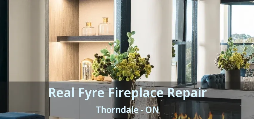 Real Fyre Fireplace Repair Thorndale - ON