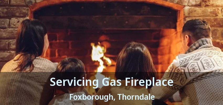 Servicing Gas Fireplace Foxborough, Thorndale - ON