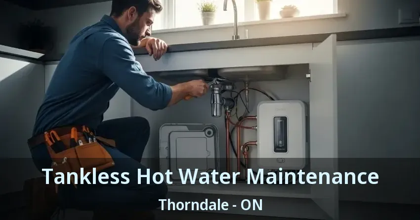 Tankless Hot Water Maintenance Thorndale - ON Tankless Hot Water Maintenance Thorndale - ON