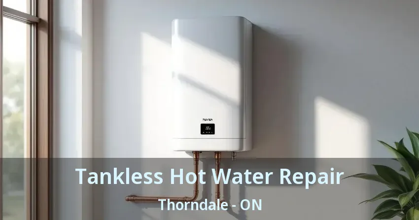 Tankless Hot Water Repair Thorndale - ON Tankless Hot Water Repair Thorndale - ON