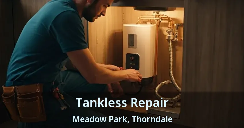 Tankless Repair Meadow Park, Thorndale - ON Tankless Repair Meadow Park, Thorndale - ON