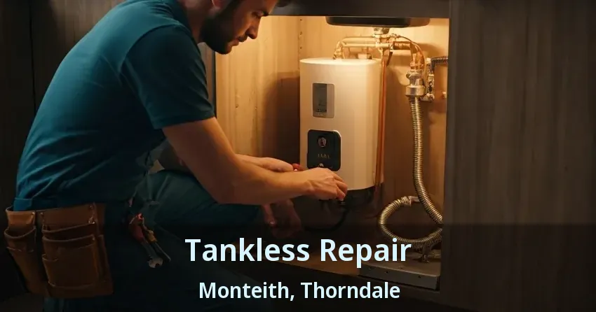 Tankless Repair Monteith, Thorndale - ON Tankless Repair Monteith, Thorndale - ON
