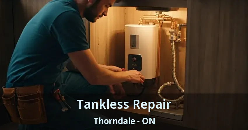 Tankless Repair Thorndale - ON Tankless Repair Thorndale - ON
