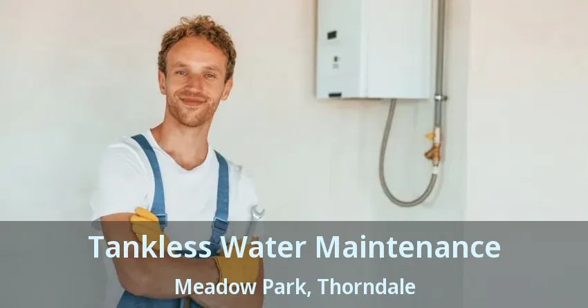Tankless Water Maintenance Meadow Park, Thorndale - ON Tankless Water Maintenance Meadow Park, Thorndale - ON