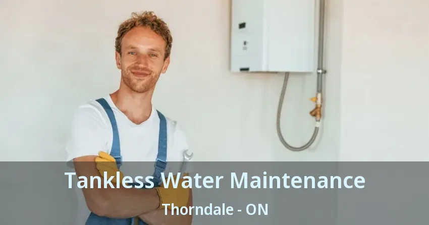 Tankless Water Maintenance Thorndale - ON