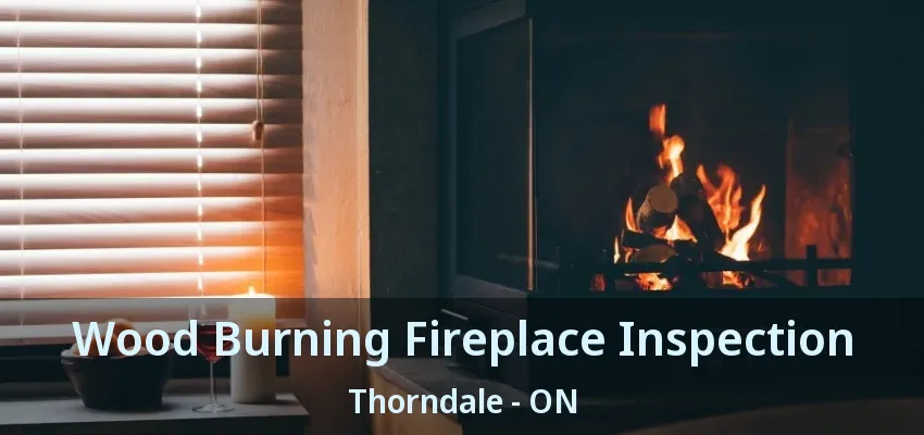 Wood Burning Fireplace Inspection Thorndale - ON