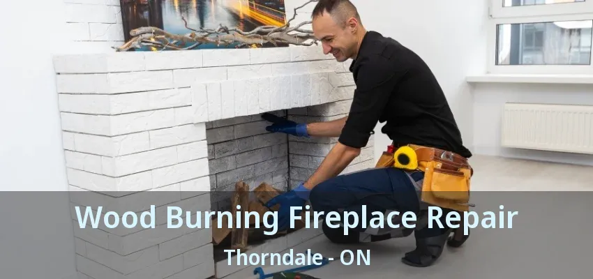 Wood Burning Fireplace Repair Thorndale - ON Wood Burning Fireplace Repair Thorndale - ON